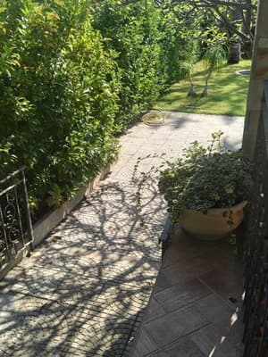thumbnail: Garden