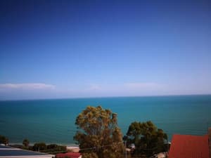 thumbnail: 201077773.jpg