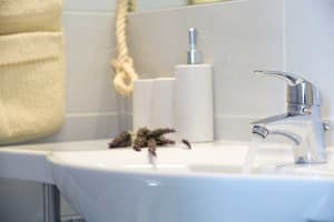 thumbnail: Bathroom sink