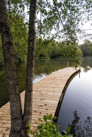thumbnail: Lake view
