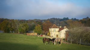 thumbnail: Exterior