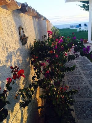 thumbnail: Garden