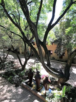 thumbnail: Property grounds
