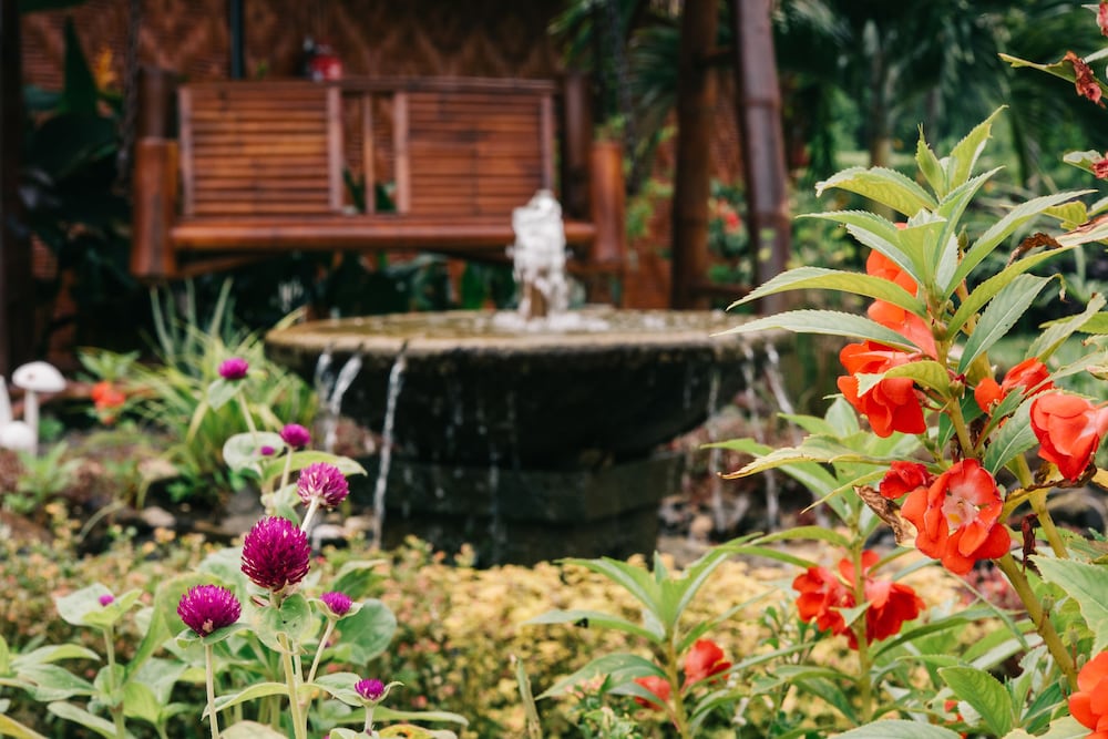 Garden view