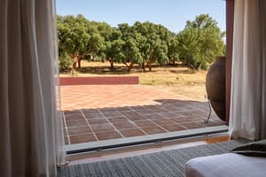 thumbnail: View from room