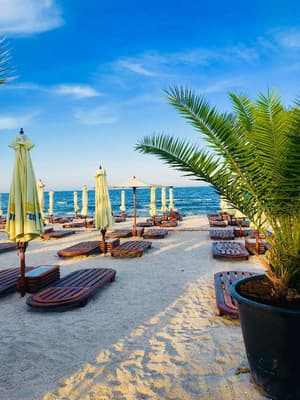 thumbnail: Beach