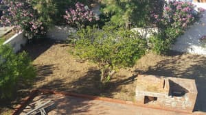 thumbnail: Property grounds