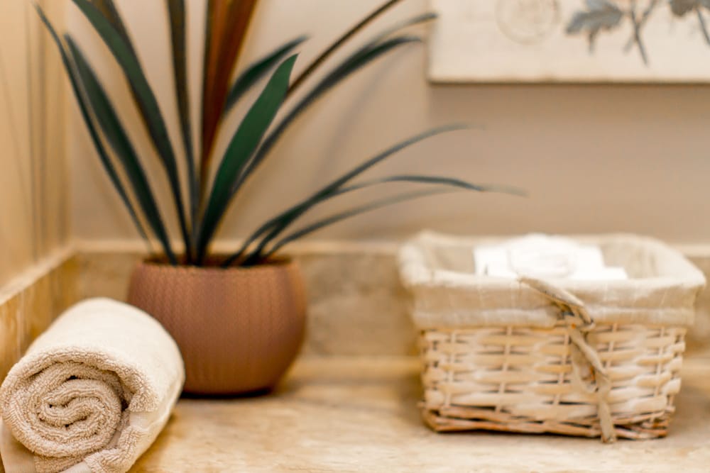 Bathroom amenities