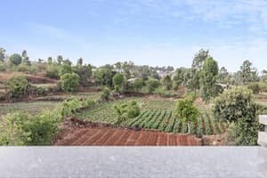 thumbnail: View from property