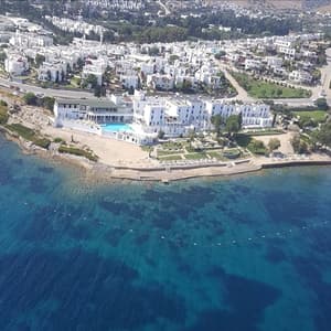 thumbnail: Aerial view