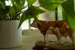 thumbnail: Interior
