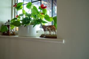 thumbnail: Interior