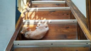 thumbnail: Interior