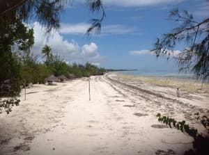 thumbnail: General view