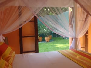 thumbnail: Garden view