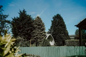 thumbnail: Property grounds