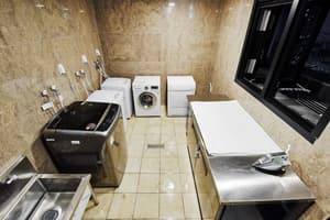 thumbnail: Laundry room