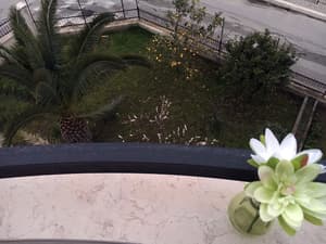 thumbnail: View from room