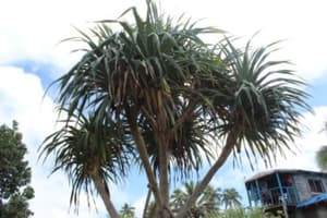 thumbnail: Exterior