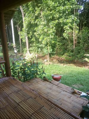 thumbnail: Terrace/patio