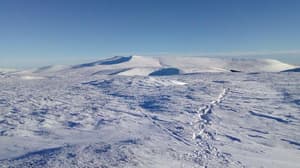 thumbnail: General view
