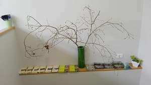 thumbnail: Interior detail