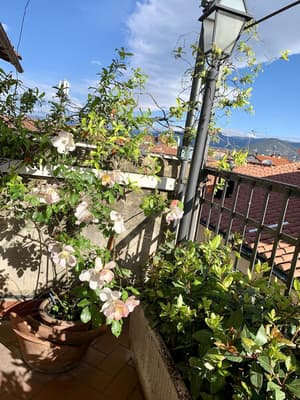 thumbnail: Balcony