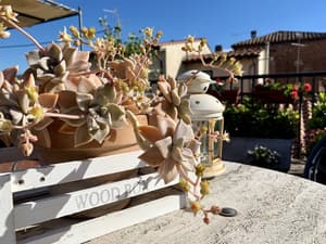 thumbnail: Terrace/patio
