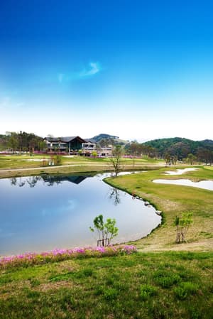 thumbnail: Golf