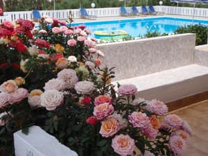 thumbnail: Pool