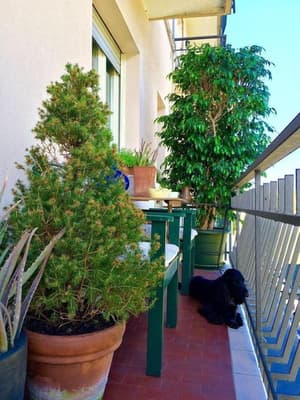 thumbnail: Balcony