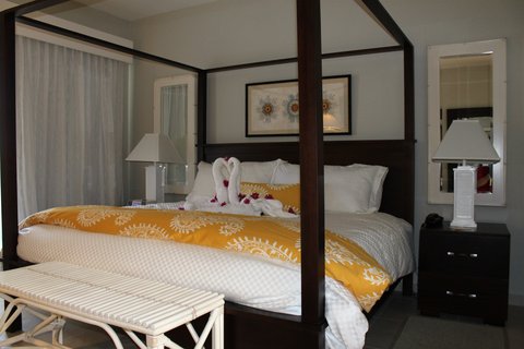 Standard King Guestroom