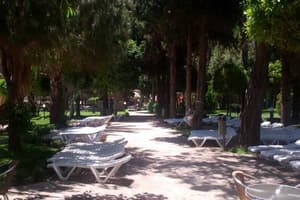 thumbnail: General view