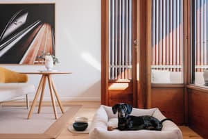 thumbnail: Pet-friendly