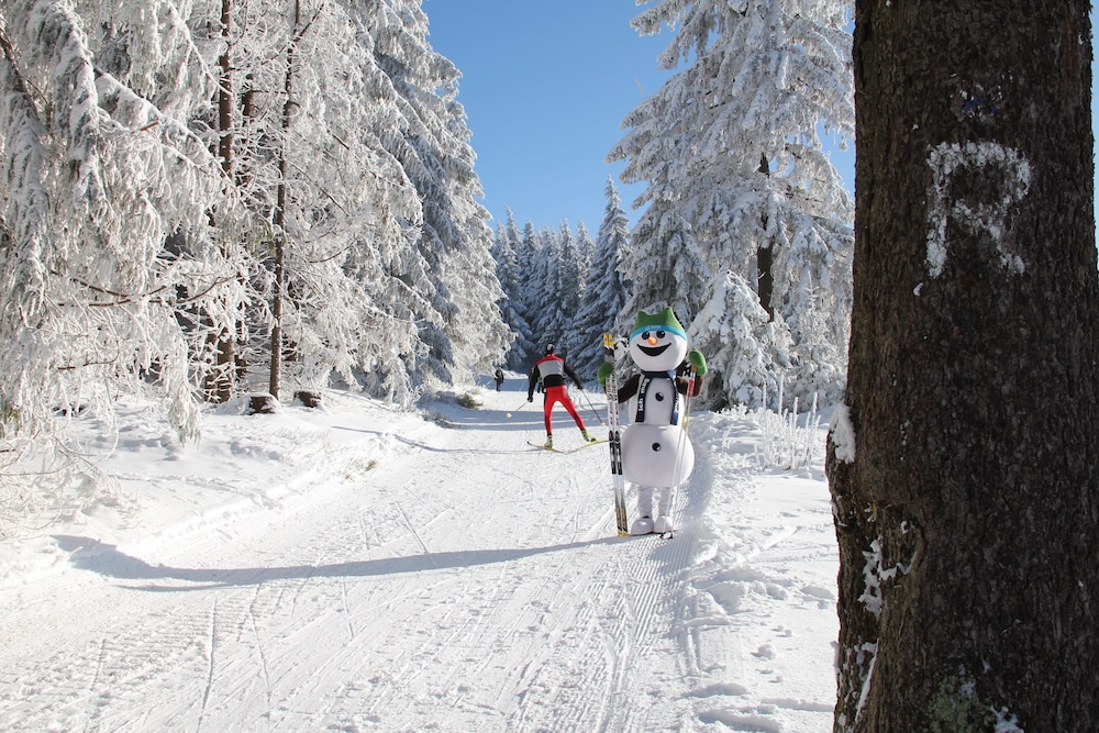 Snow and ski sports