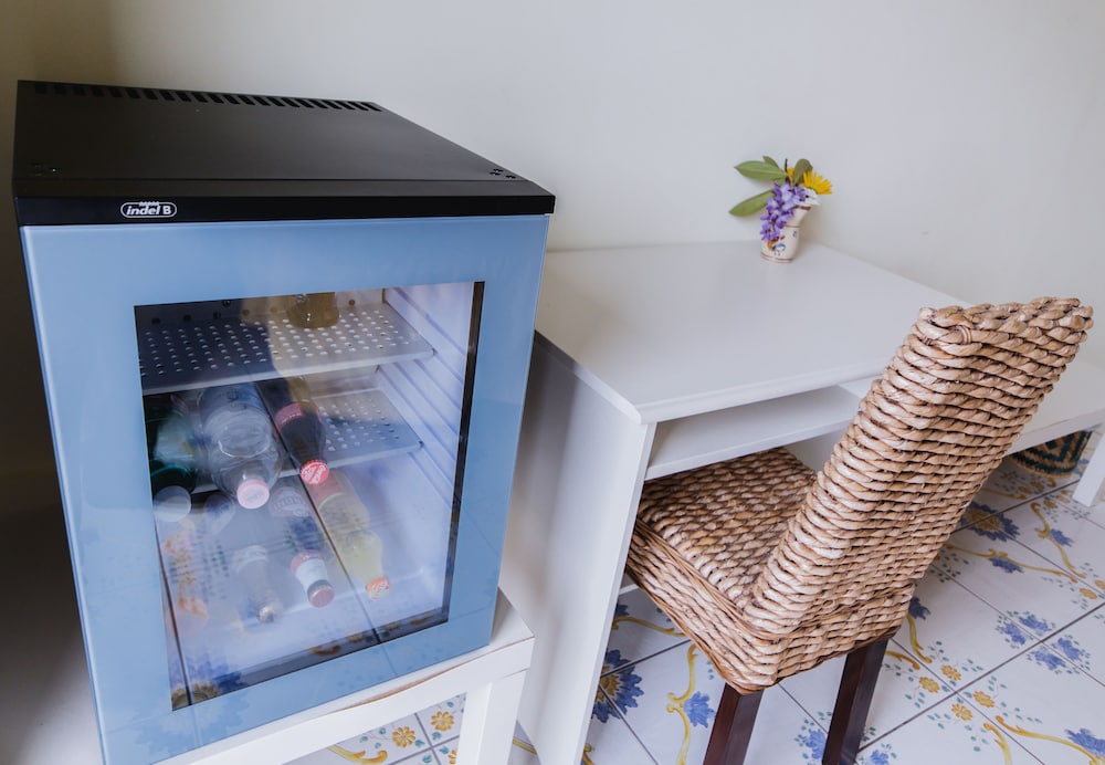 Mini-refrigerator