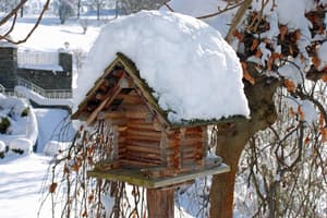 thumbnail: Exterior detail