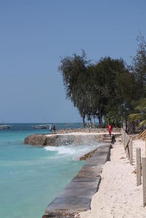 thumbnail: General view