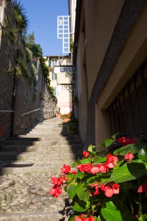 thumbnail: Surroundings