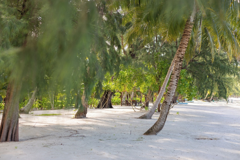 Beach/ocean view