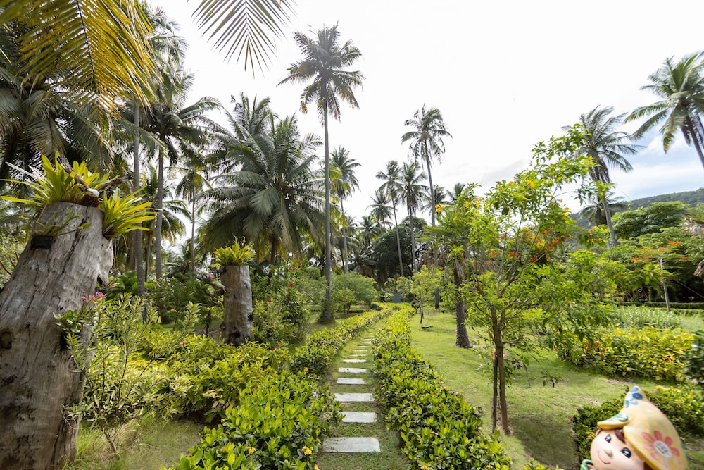 Garden view