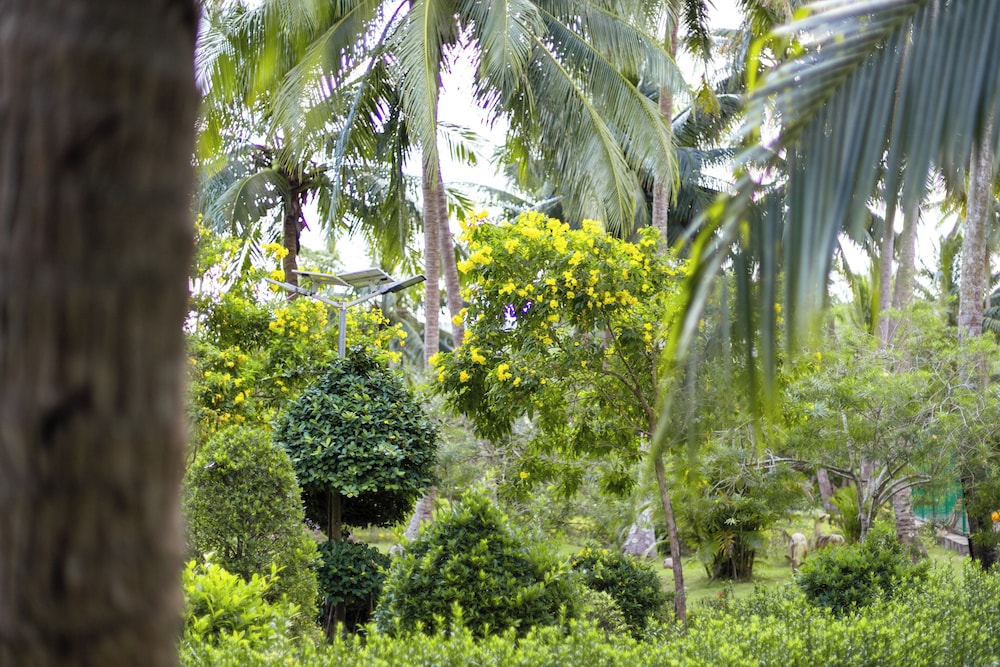 Garden view
