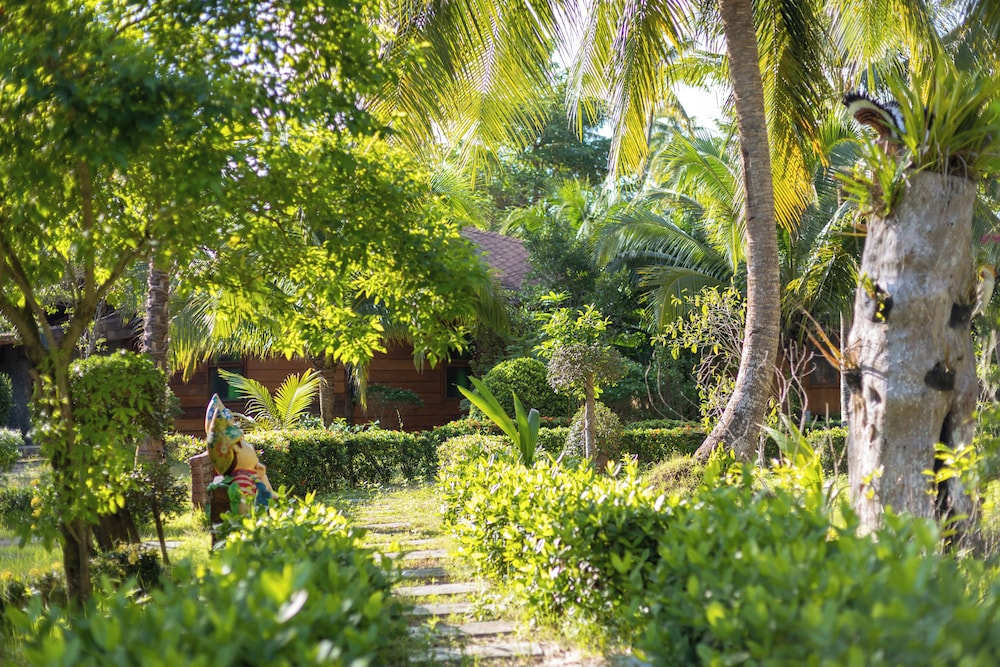 Garden view