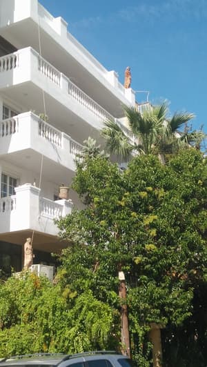 thumbnail: Front of property