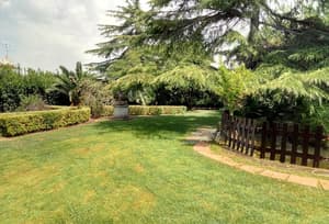 thumbnail: Garden