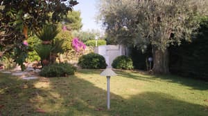 thumbnail: Garden