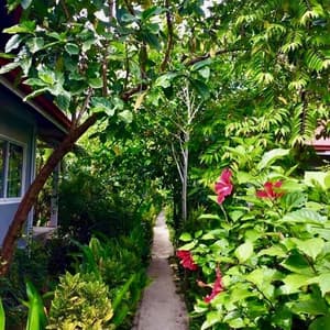 thumbnail: Terrace/patio