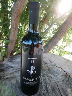 thumbnail: Winery