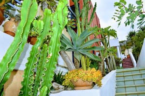 thumbnail: General view