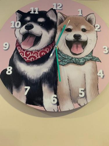 247313856.jpg